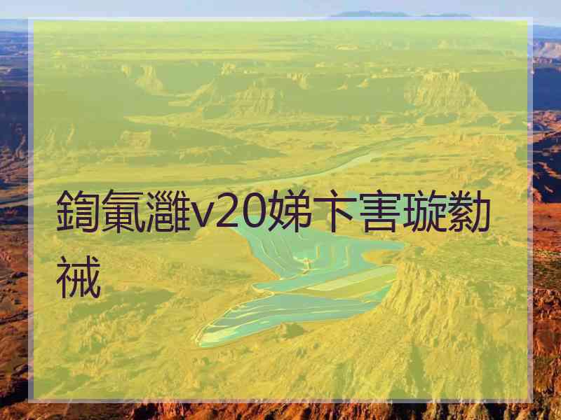 鍧氭灉v20娣卞害璇勬祴