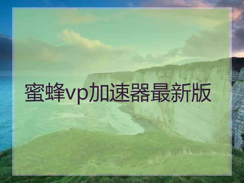 蜜蜂vp加速器最新版