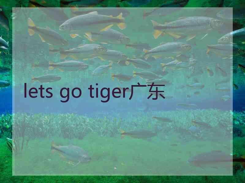 lets go tiger广东