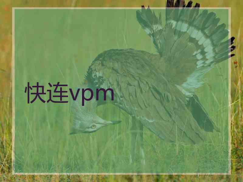 快连vpm