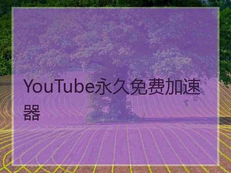 YouTube永久免费加速器