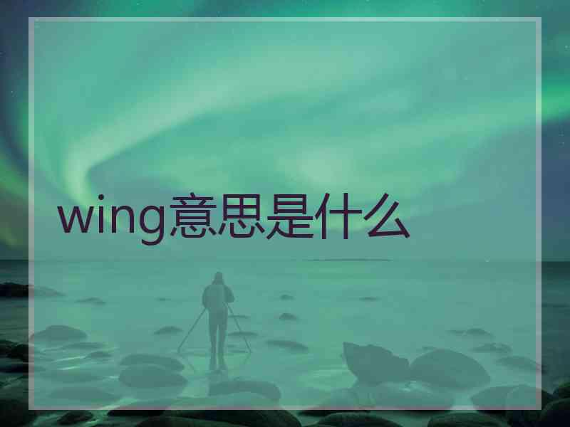 wing意思是什么