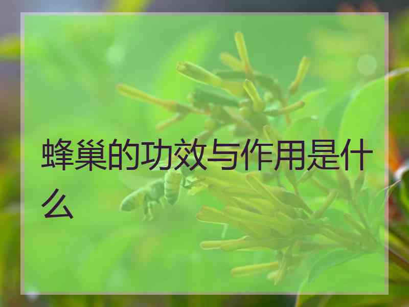 蜂巢的功效与作用是什么