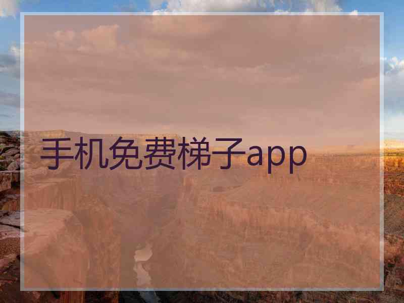 手机免费梯子app