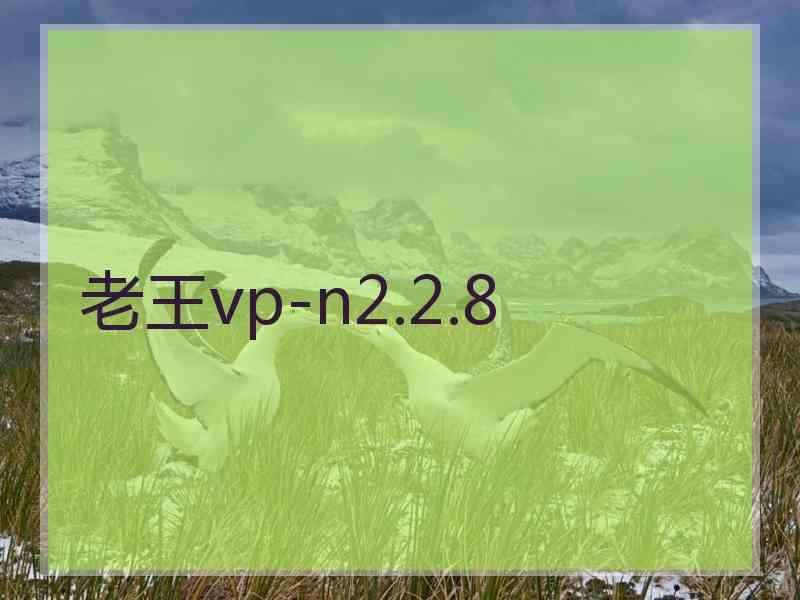 老王vp-n2.2.8