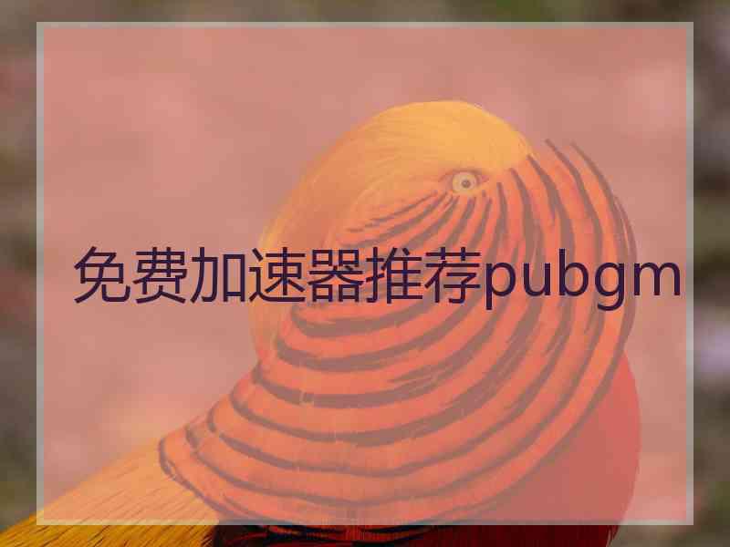 免费加速器推荐pubgm