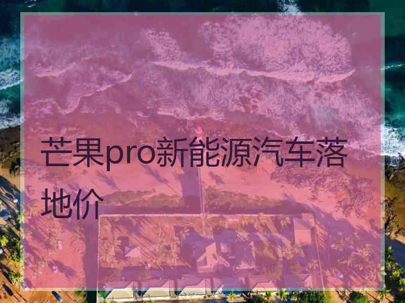 芒果pro新能源汽车落地价