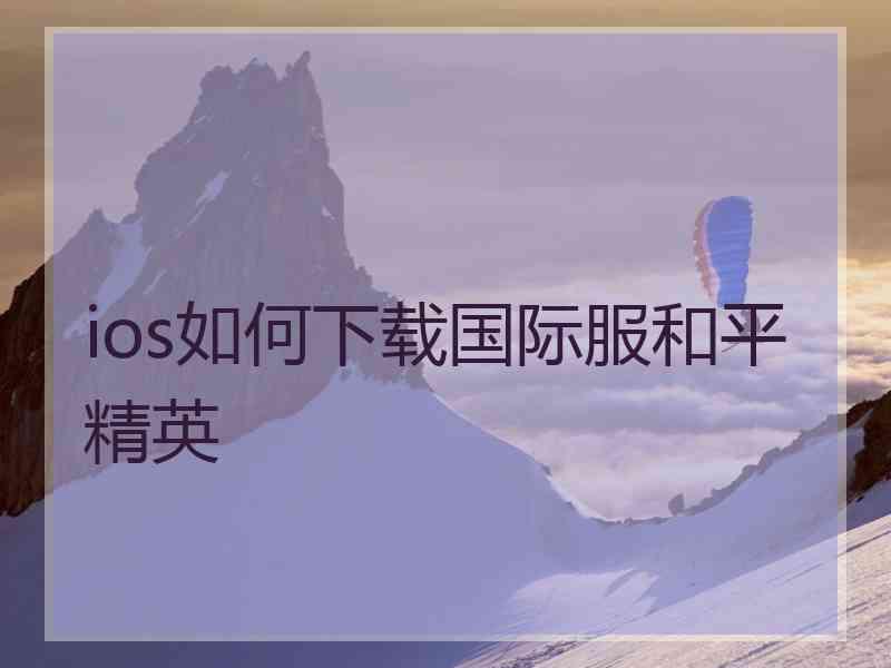 ios如何下载国际服和平精英