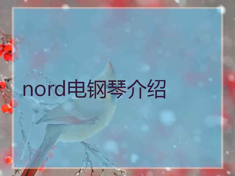 nord电钢琴介绍