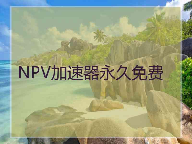 NPV加速器永久免费