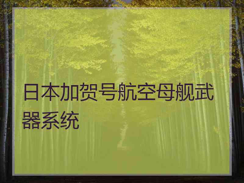 日本加贺号航空母舰武器系统