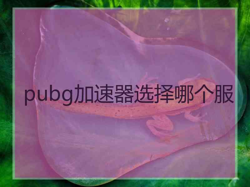 pubg加速器选择哪个服