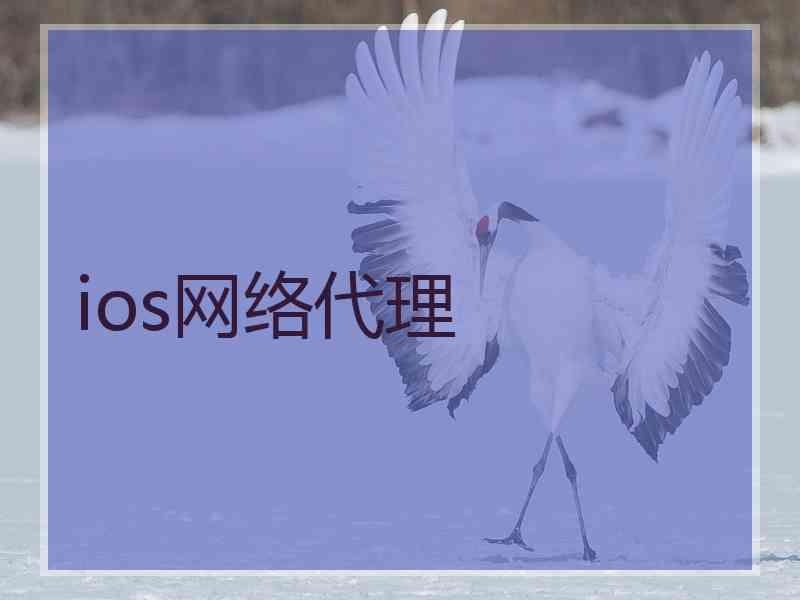 ios网络代理