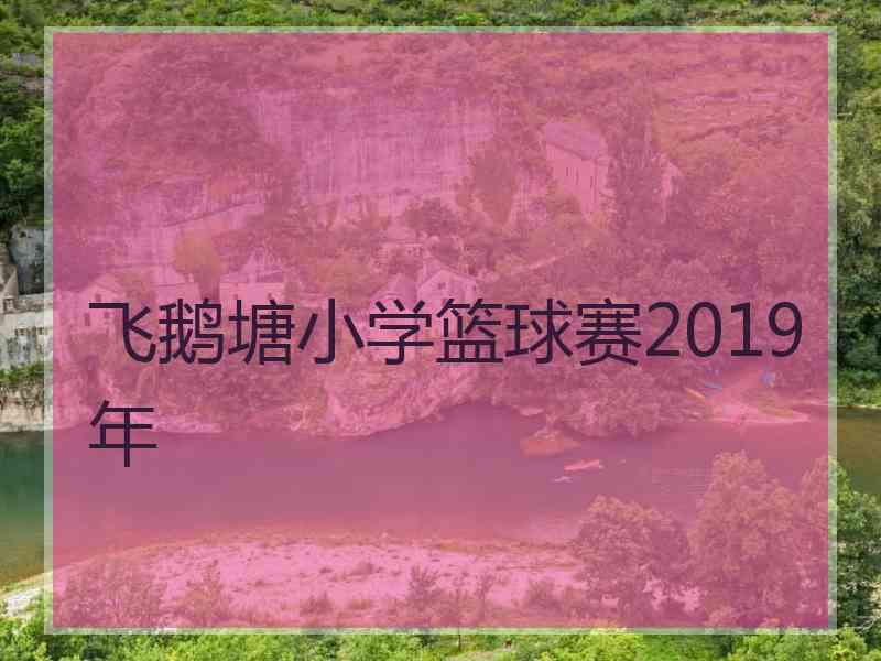 飞鹅塘小学篮球赛2019年