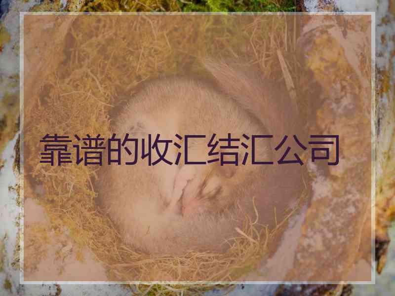 靠谱的收汇结汇公司