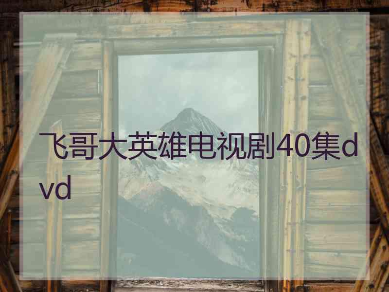 飞哥大英雄电视剧40集dvd