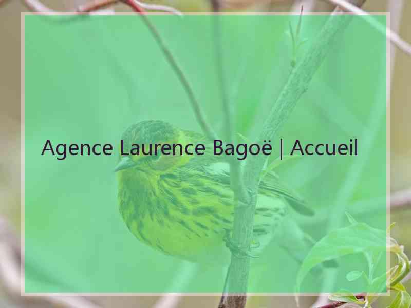 Agence Laurence Bagoë | Accueil