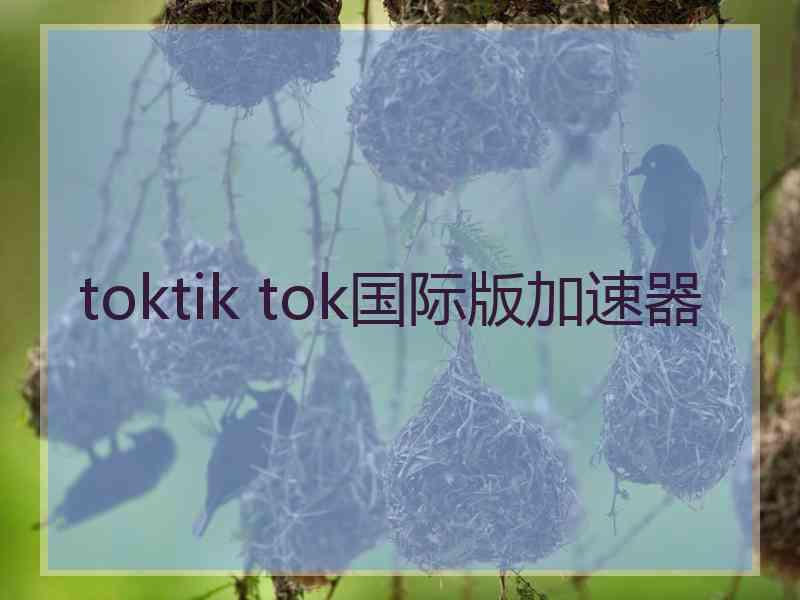 toktik tok国际版加速器