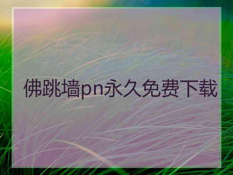 佛跳墙pn永久免费下载