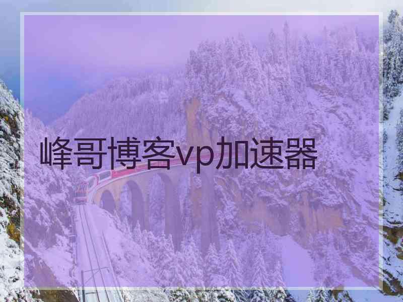 峰哥博客vp加速器