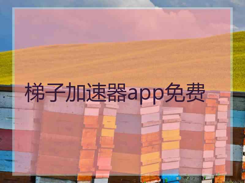 梯子加速器app免费