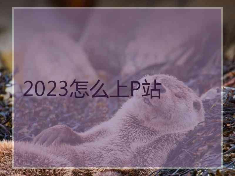 2023怎么上P站