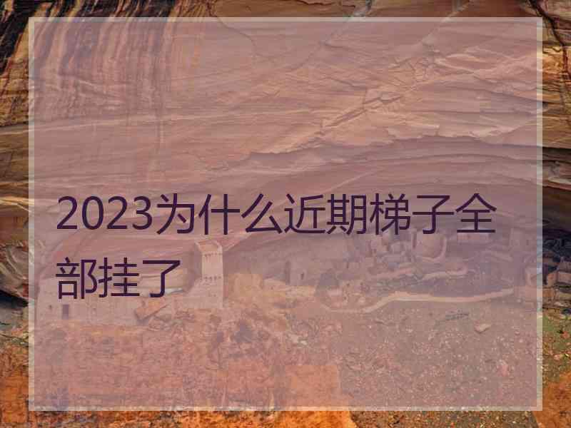 2023为什么近期梯子全部挂了