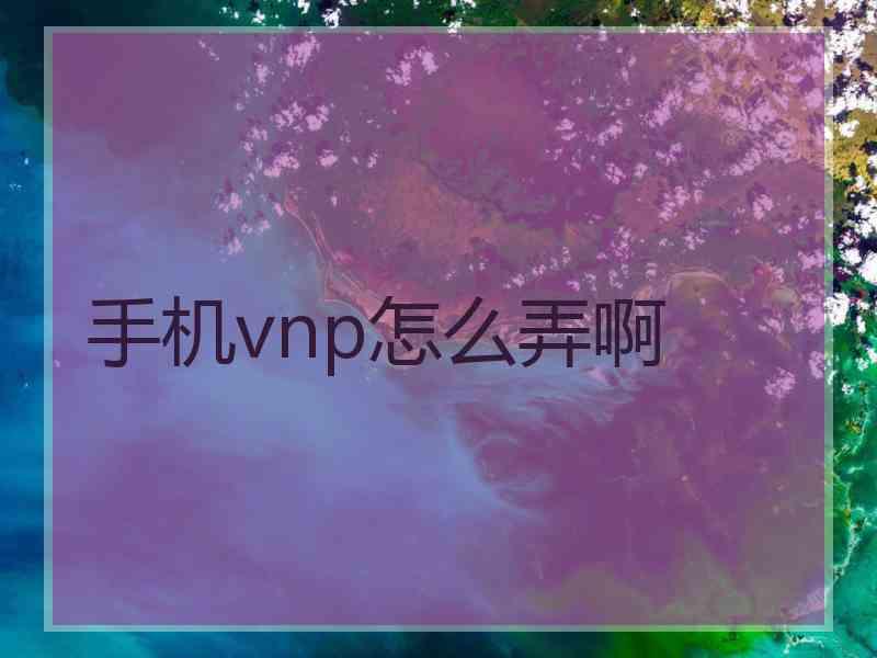 手机vnp怎么弄啊