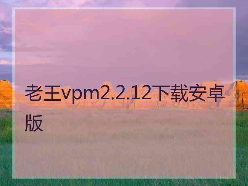 老王vpm2.2.12下载安卓版