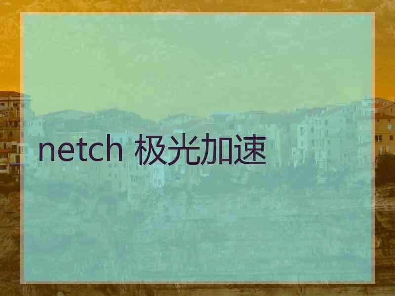 netch 极光加速