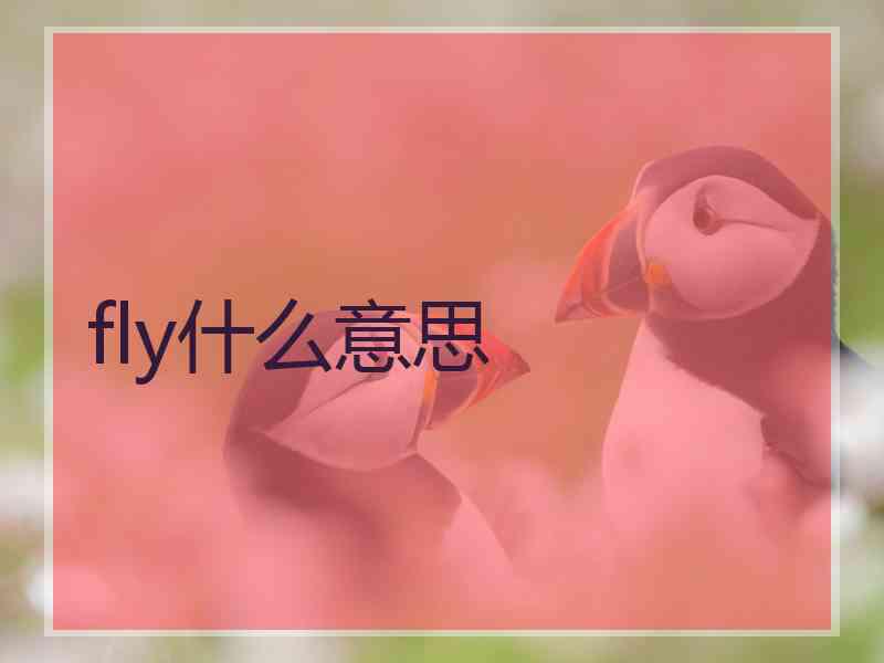 fly什么意思