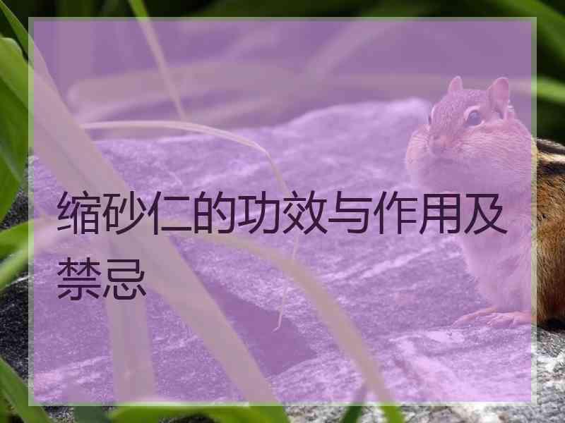 缩砂仁的功效与作用及禁忌