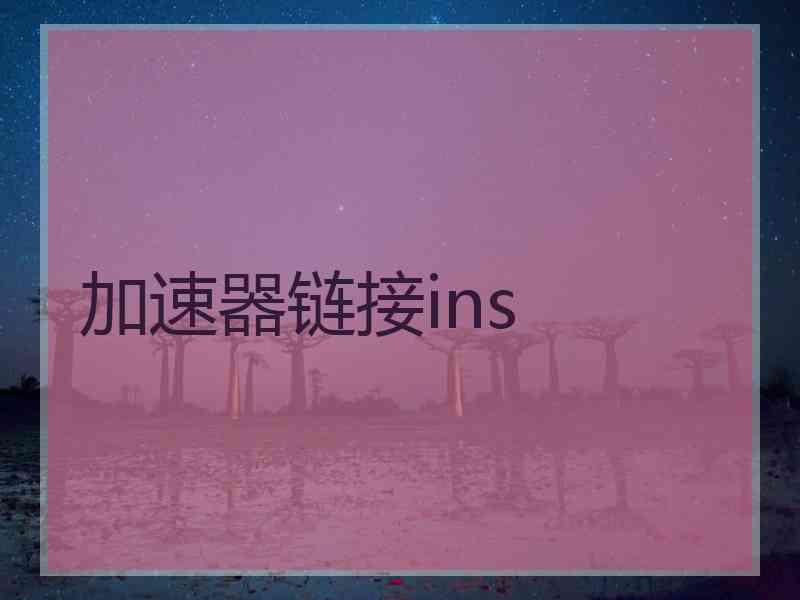 加速器链接ins