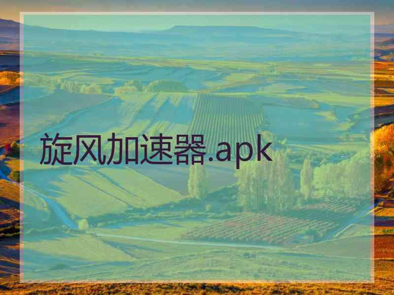 旋风加速器.apk