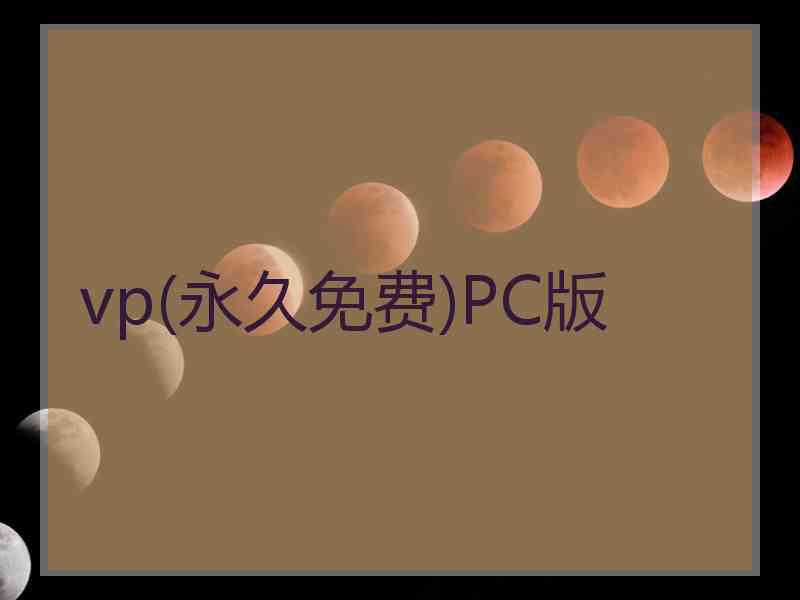 vp(永久免费)PC版