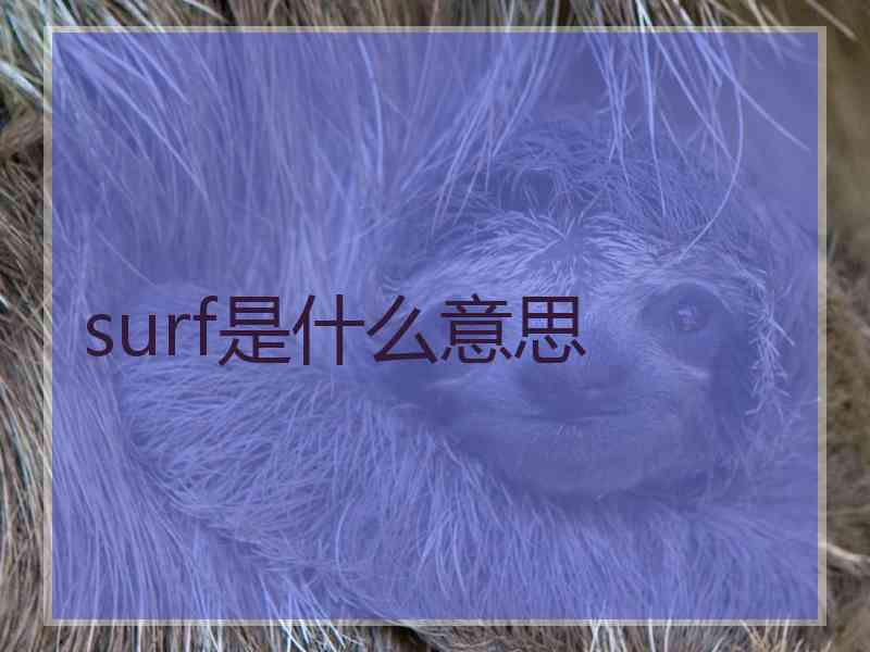 surf是什么意思