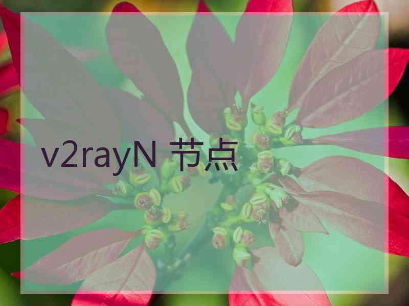 v2rayN 节点