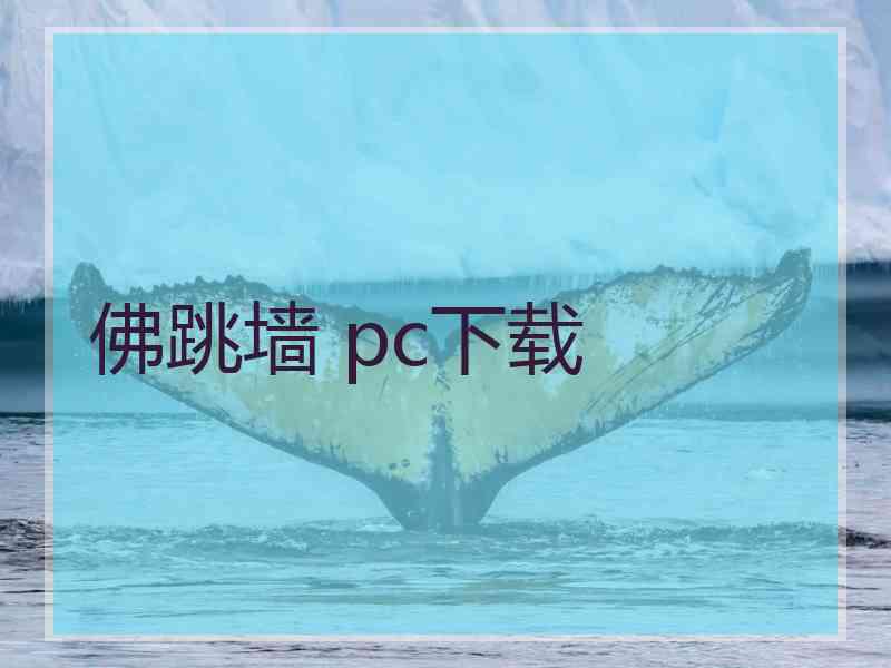 佛跳墙 pc下载