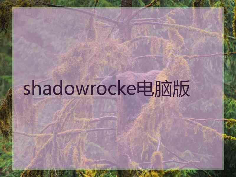 shadowrocke电脑版