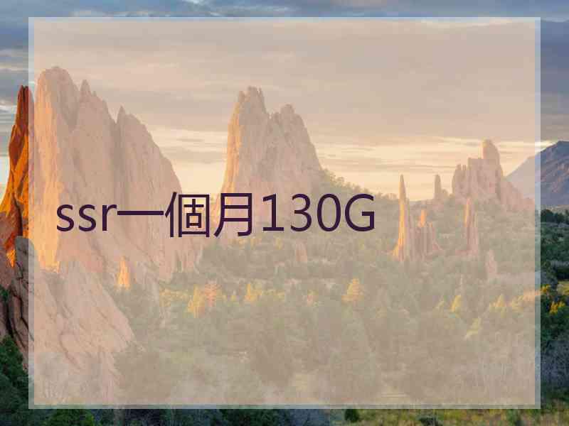 ssr一個月130G