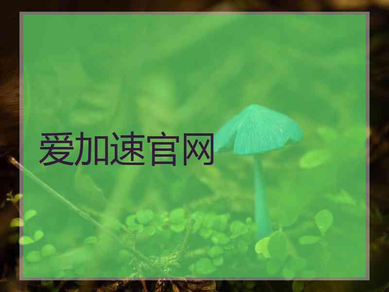 爱加速官网