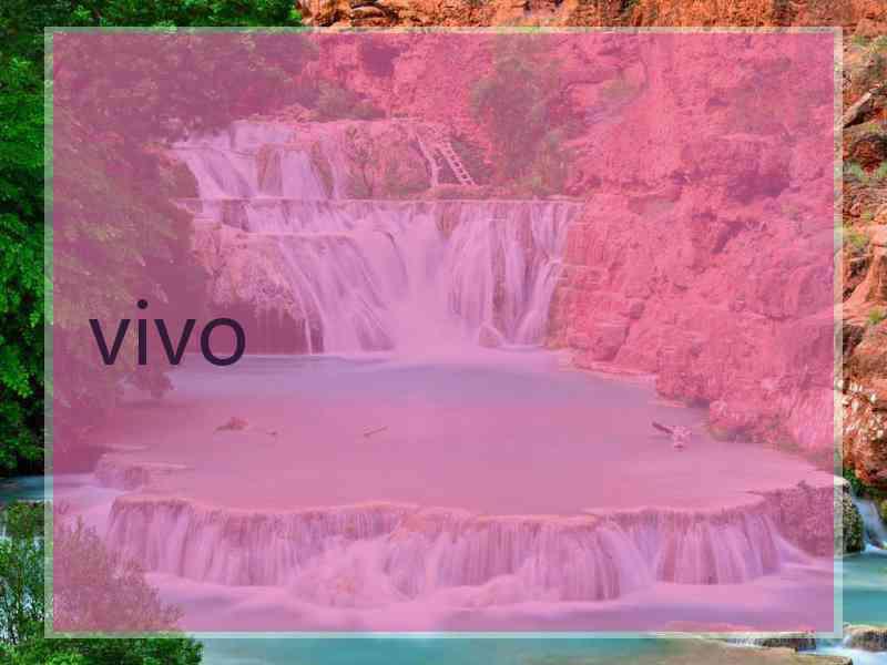 vivo