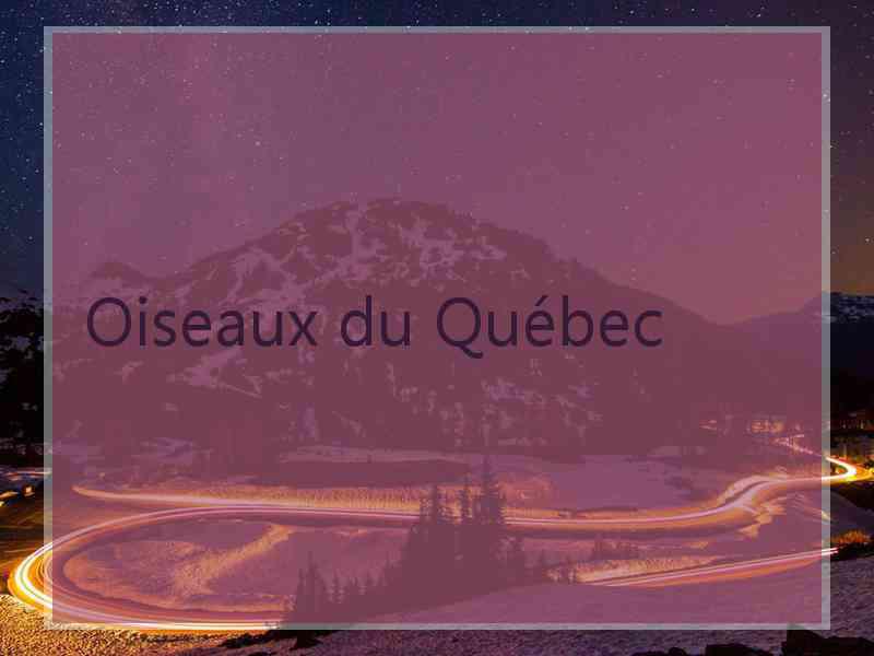 Oiseaux du Québec