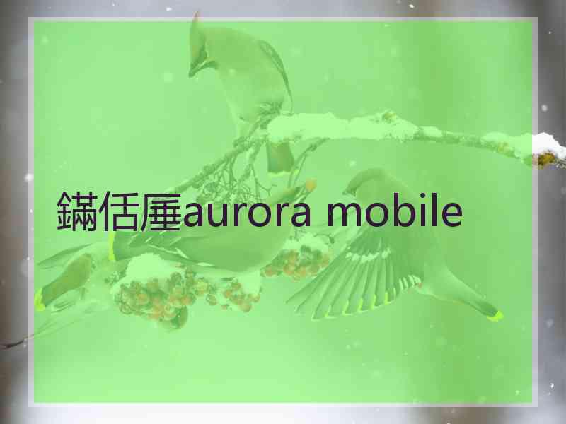 鏋佸厜aurora mobile