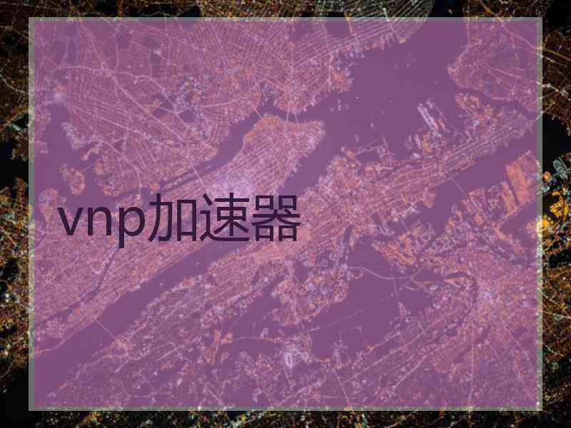 vnp加速器