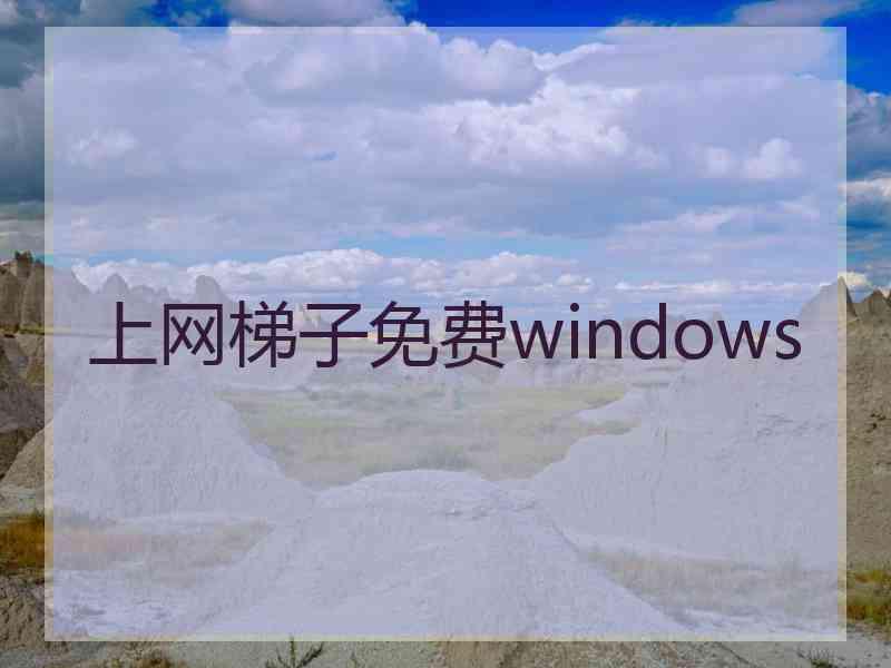 上网梯子免费windows