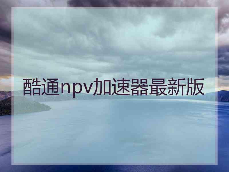 酷通npv加速器最新版