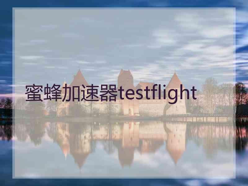 蜜蜂加速器testflight