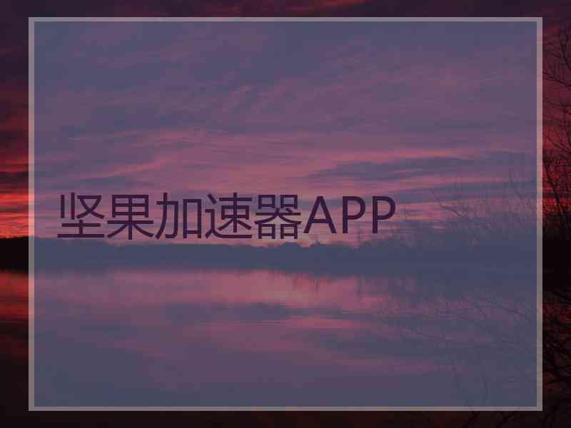 坚果加速器APP