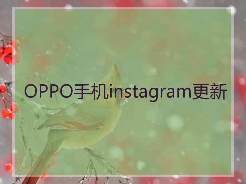 OPPO手机instagram更新